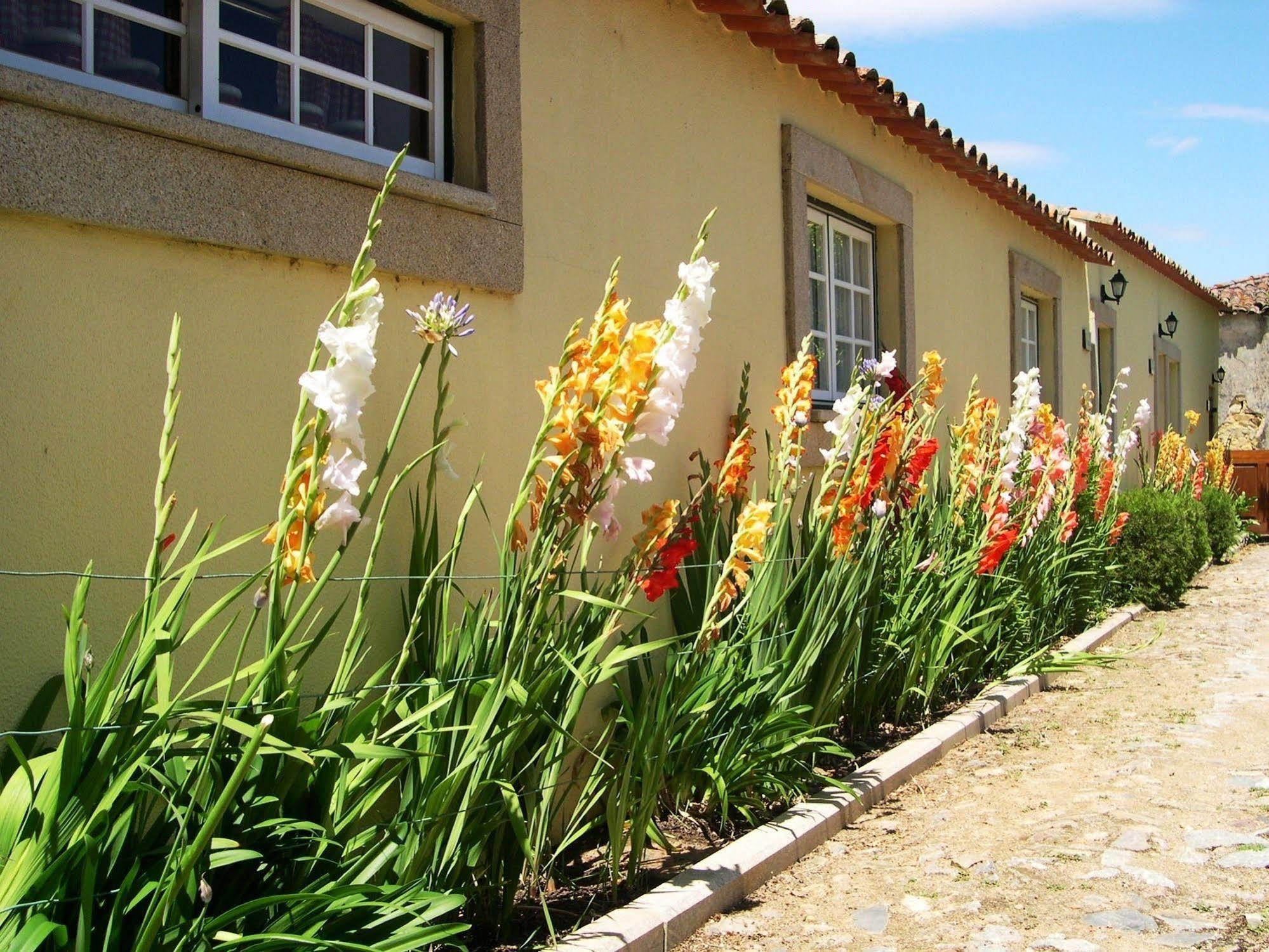 פיגואירה דה קסטלו רודריגו Hospedaria Do Convento D'Aguiar- Turismo De Habitacao מראה חיצוני תמונה